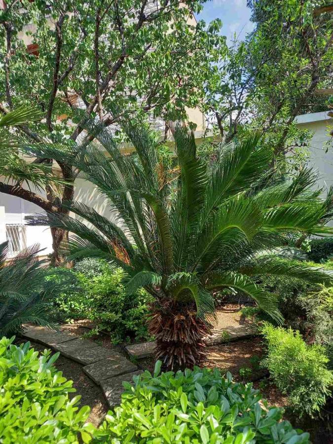 Apartment Ana, Free Garage Parking Sibenik Luaran gambar